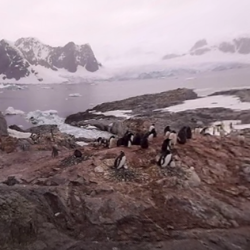 Antarctica - Exploring the 7th Continent