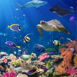 Boston - New England Aquarium