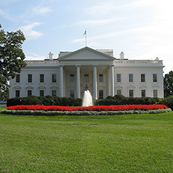 White House 250x250